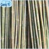 Bamboo Garden Stakes for Climbing Plants