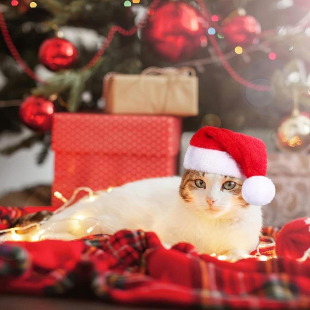 Christmas Pet Hat Festive Pet Hat Festive Pet Santa Hat Set for Dogs Cats Fleece Costume Accessories for Holiday Cosplay