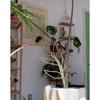 Creative Potted Ornament Home Decoration Plant Trellis Garden Arrangement Leaf Shape Bracket Vine Climbing Support