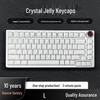 Jelly Crystal 113-Key Mechanical Keyboard with Magnetic Switch & Transparent Side-Printed Keycaps