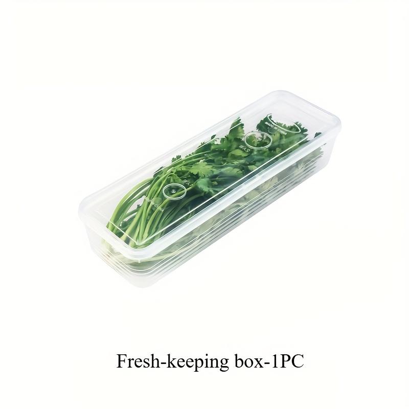 

1/2/3/4pcs Plastic Vegetable Fresh-Keeping Containers, Refrigerator Organizer Bins for Green Onions, Cilantro & Herbs, Sealable Kitchen Storage Boxes 1pc прозрачный