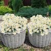 1Bundle 35cm Daisy UV Resistant Artificial Flowers Fake Plastic Plants Artificial Daisies Diy Home Garden Wedding Decoration