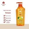 Fenghua Ginger Hair Growth Shampoo Twin Pack