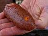 Superfeed Micro Pellet 6Mm/1Kg Red Krill