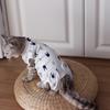 Pet Neutering Suit High Elasticity Fastener Tape Fixed Cartoon Pattern Buckle Adjustable Pet Puppy Dog Surgical Recovery Clothes Pet Accessories