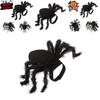 Cute And Funny Pet Spider Costume For Halloween