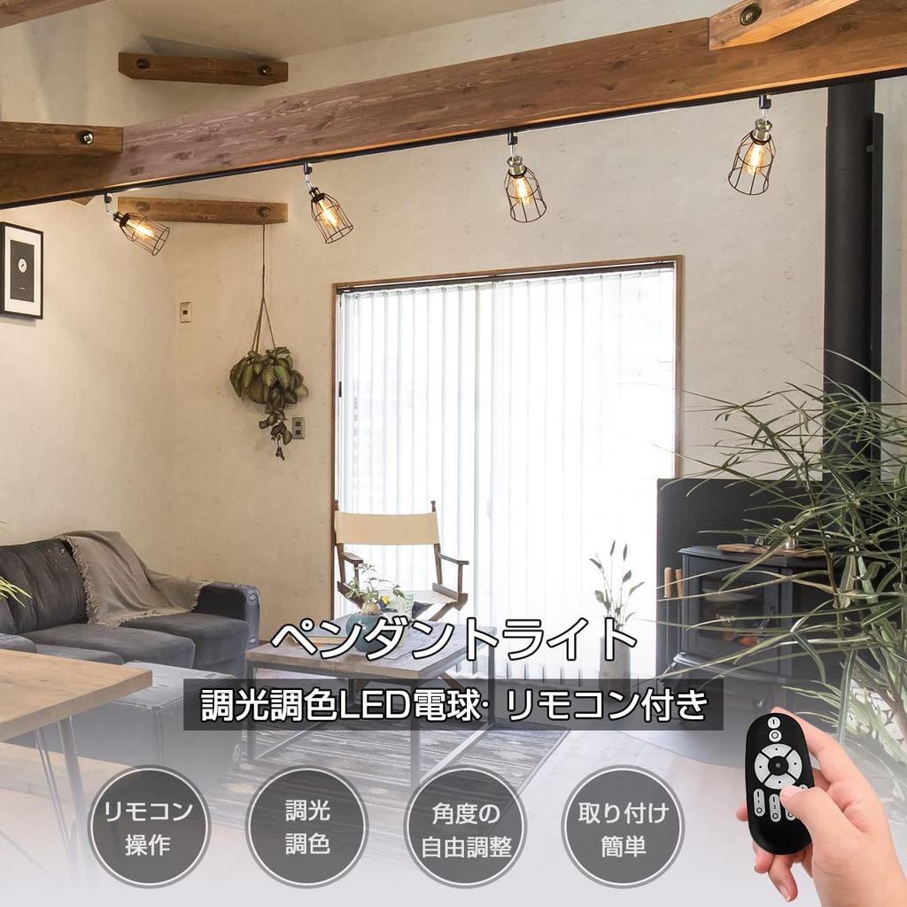 ANWIO 6W (60W Equivalent) Pendant Light for Duct Rails, E26 Base, Adjustable Angle, Remote Control Included, LED Bulb Included, Retro Pendant Light,