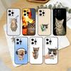 F-Funny C-Cute Cat Phone Case For iPhone 17,16,15,14,13,12,11 Plus,Pro Max,XS,Soft Silicone Black Cover