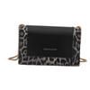 Fashion Small Square Bag Autumn Simple Fashion Handbag Messenger Bag Leopard Print Chain Shoulder Bag