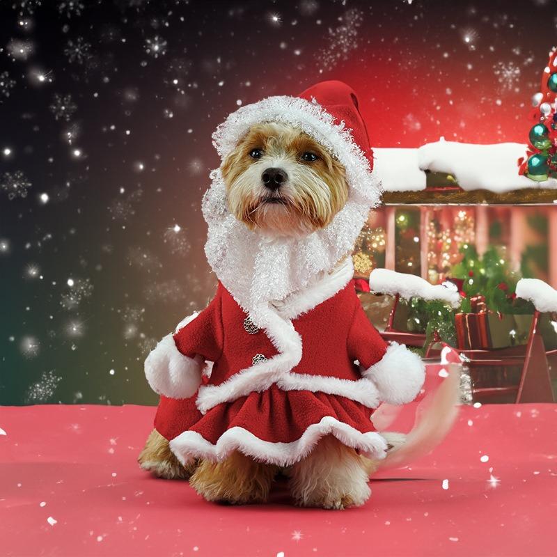 Christmas Pet Costume Santa Claus Hat Suit  Gold Velvet Fabric Funny Pet Cosplay Clothes Cute Puppy Christmas Outfit
