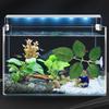 Betta Bed Fish Tank Leaf Pad With Suction Cup Artificial Plant For Shrimp Guppy Sleeping Playing Hiding Spawning Habitat