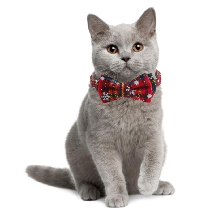 Cat Collars Puppy Suit Collar Snowflake Bow Christmas Holiday Collar Photo Props