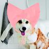 Bathing Shower Cap for Pets, Cats And Dogs, Costume Hat, Elastic Band, Headwear, Pet