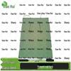 Xiaorui Outdoor Squad Tent & Accessories