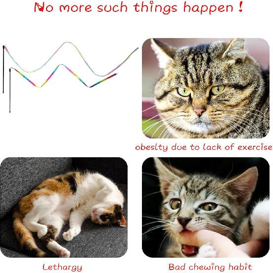 Cat Wand Toys Interactive Kitten Toys for Indoor Cats Colorful Teaser Wand String for Exercise Kitten Stick Kitty Rope Toy Rainbow Ribbon Cat Charmer