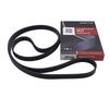 For NISSAN ALTIMA  (L33) 2.5L 2012-2018/ Maxima Rogue X-Trail Murano 2015/ Renault Koleos 2016 Engine V-Ribbed Belt 117203TA0A