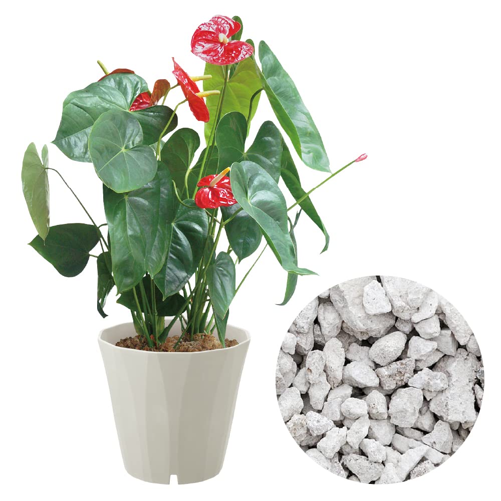 Richell Lapis Pot, 30cm, Dark Gray