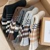 Striped Thickened Wool Socks Warm Socks Versatile College Style Heat Storage Pile Socks