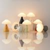 Cloud Mushroom Table Lamp Night Light Portable Cordless Touch Rechargeable Decor Lamp USB Bedside Lamp Desktop Lamp