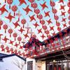 Festone Nuziale Doppia Felicità: Lanterna, Girandola, Luci a Filo, Decorazione Aquilone per Cortile Esterno