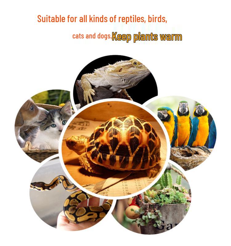 Reptile Mini Ceramic Heat Lamp for Tortoise, Lizard, Gecko, and Chick Brooder