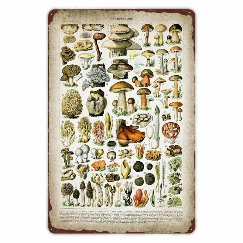 Retro Vegetable Plants Poster Vintage Fruits Metal Tin Sign Cauliflower Wall Art Sign Garden Kitchen Farm Flowers Plate Decor