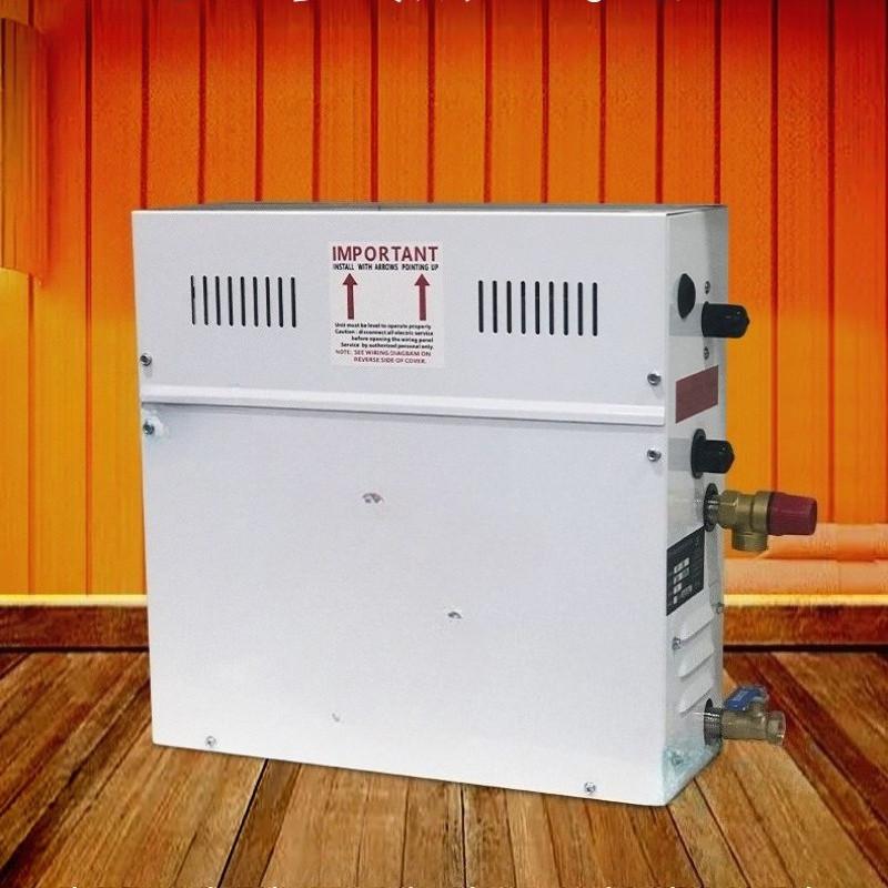 Household Sweat Steaming Box Generator Commercial Sweat Steaming Sauna Room Fumigation Machine Sauna Steam Machine