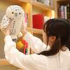 Cartoon Plush Owl Toy Stuffed Animal Doll Bedroom Decoration Gifts Children