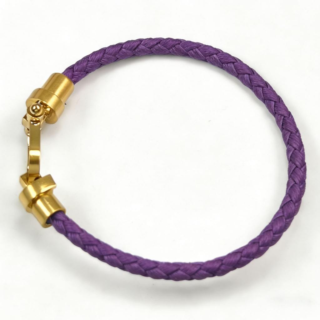 European and American Fashion U-shaped Bracelets Multi-color Braided Leather Rope Magnet Buckle Horseshoe Bracelet Personality Trend