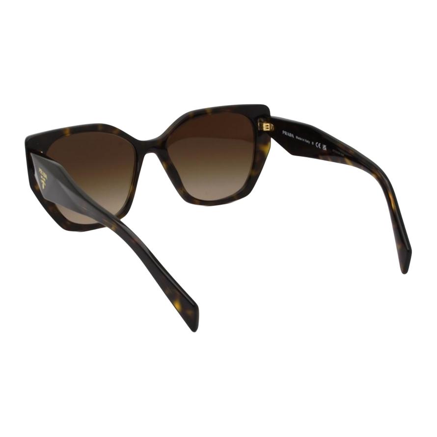 Prada Logo Acetate Butterfly Sunglasses Unisex Sunglasses Brown SPR19Z2AU-6S1-55-17