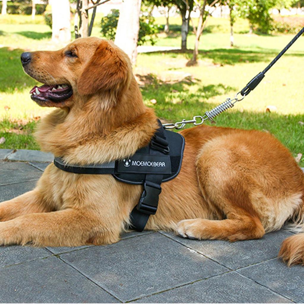moemoe bear dog harness