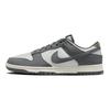 Nike Dunk Low Next Nature Iron Grey Lightning Ανδρικά αθλητικά παπούτσια καρύδας-γαλάκτωμα φωτόνιο-Dust FZ4621-001
