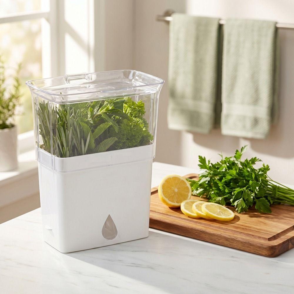Large Capacity Vegetable Keeper Plastic Herb Lettuce Keeper  Prolongs Produce Life