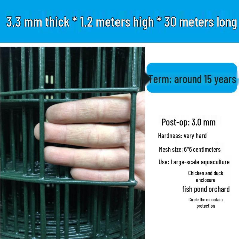 Rustproof Green Plastic-Coated Mesh Wire Fence for Chicken Enclosure