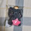 (sealed NCT Wish Star Wish Doll Riku Kuri