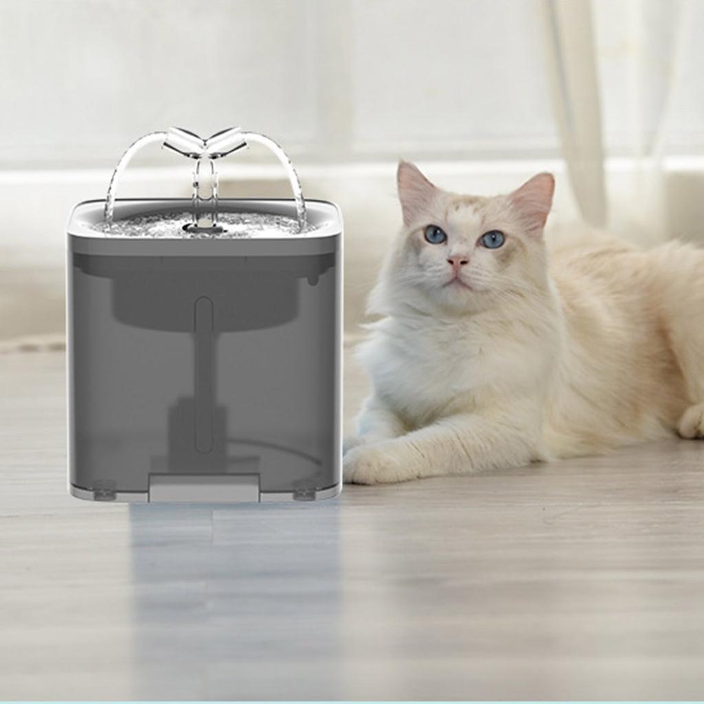 best automatic dog feeder with camera