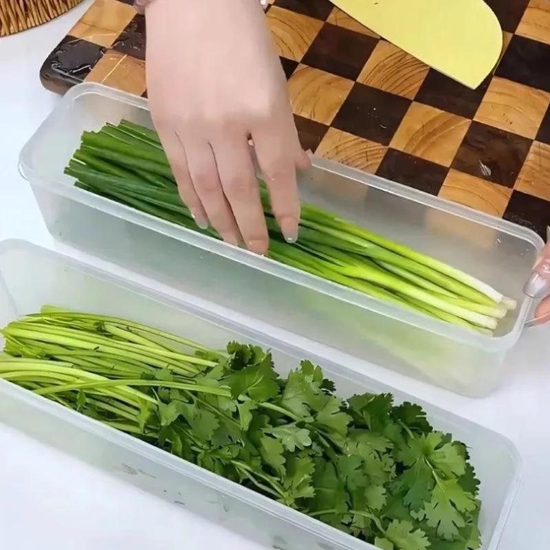 Kitchen Japanese Style Sealed Noodle Box With Scallion Ginger Garlic Preservation Box Lid Plastic Tableware Storage Box Storage Can YLE596