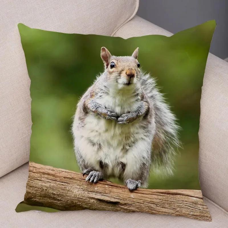 Cute Squirrel Cushion Cover Pillowcase Pillow Covers Home Decor Pet Animal Pillows Case Super Soft Polyester Pillows Covers