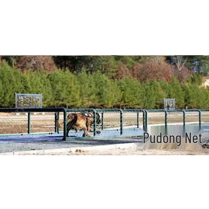 Ruihu Professional Dog Agility Training Obstacle Course