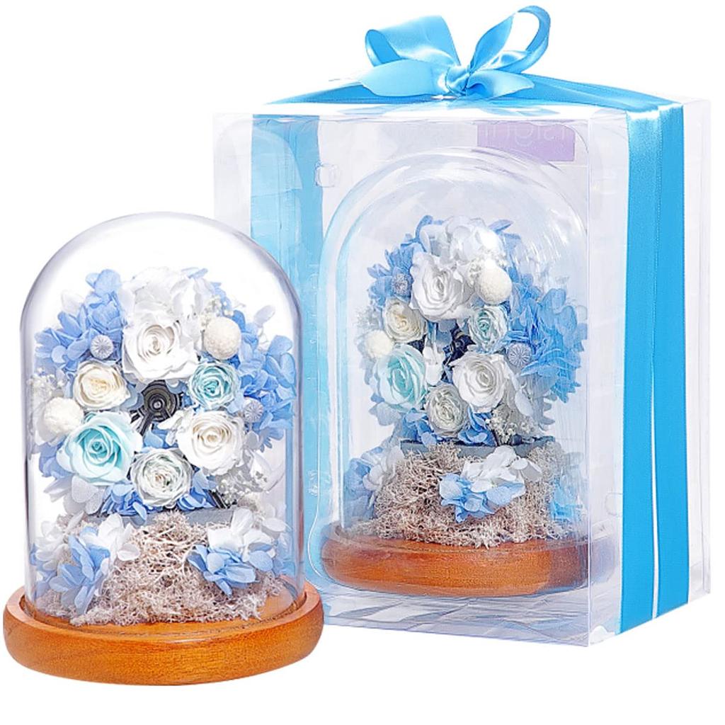 Teatsite Preserved Flowers, Flower Gift, Glass Dome Ferris Wheel (2 Blue Roses)
