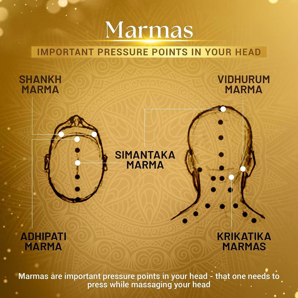 Ayurvedisches Regain 2-Stufen-Haarwachstumsset I Klinisch erprobt | Bekämpft Haarausfall, erleichtert das Haarwachstum, ist natürlich und ayurvedisch zertifiziert