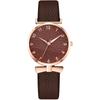 Rorios Women's Analog Quartz Watch Waterproof Leather Strap Casual Coffee Color