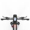 Cheevalry CF1000-1 All-Terrain Electric Bicycle 1000W Motor 48V20Ah Battery 20 Inch Fat Tires 150KG Load Outdoor Riding E-Mountain Bike