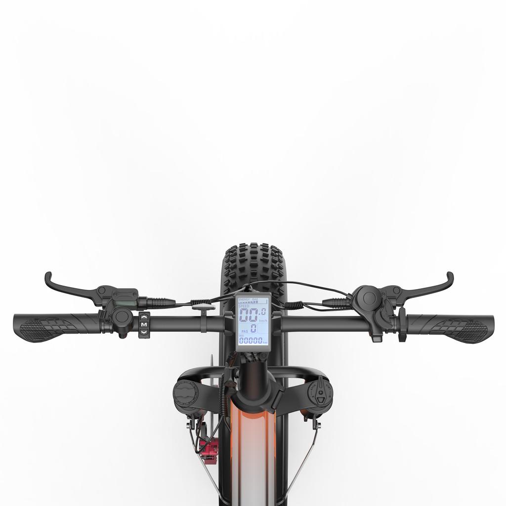 Cheevalry CF1000-1 All-Terrain Electric Bicycle 1000W Motor 48V20Ah Battery 20 Inch Fat Tires 150KG Load Outdoor Riding E-Mountain Bike