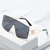 Unisex European and American Large Frame Hollow Street Style Sunglasses - Trendy and Versatile.