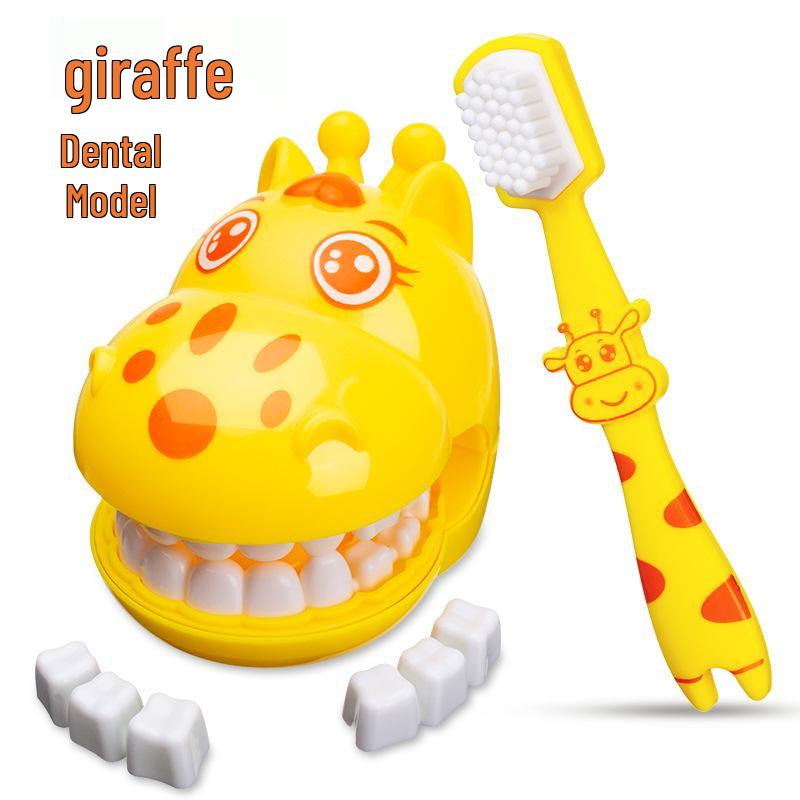Children s Dental Education Role-Play Set: Interactive Tooth Model & Detachable Brushing Tools