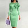 Women's Round Neck Slim Fit Dress with 3D Floral Side Accents, Color for Everyday Wear