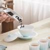 Mr. Nanshan Gradient Ceramic Gaiwan Tea Brewer