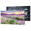 Qiangli Q1.3 H Indoor Full-Color LED Display (CN Version)