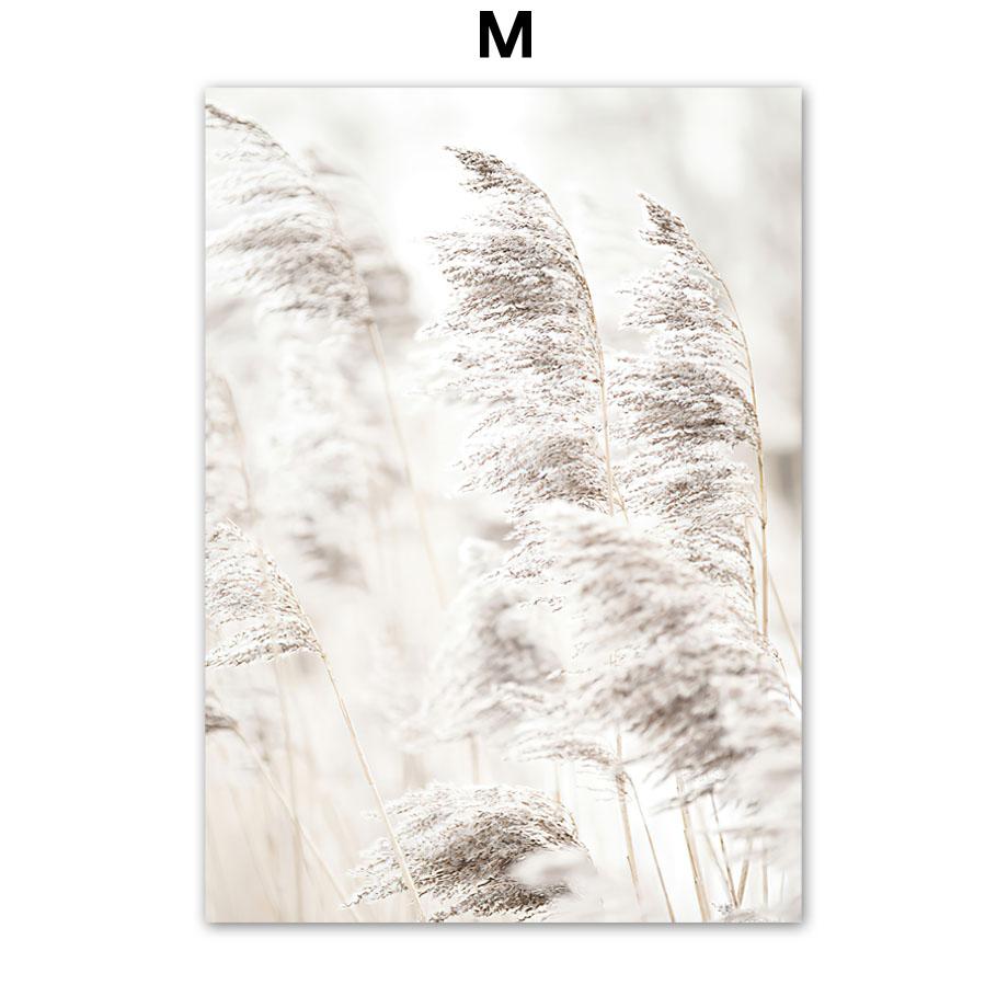 Begonia Beach Reed Feather Wall Art Nordic Posters And Prints Canvas Painting Wall Pictures For Living Interior Room Mural Decor